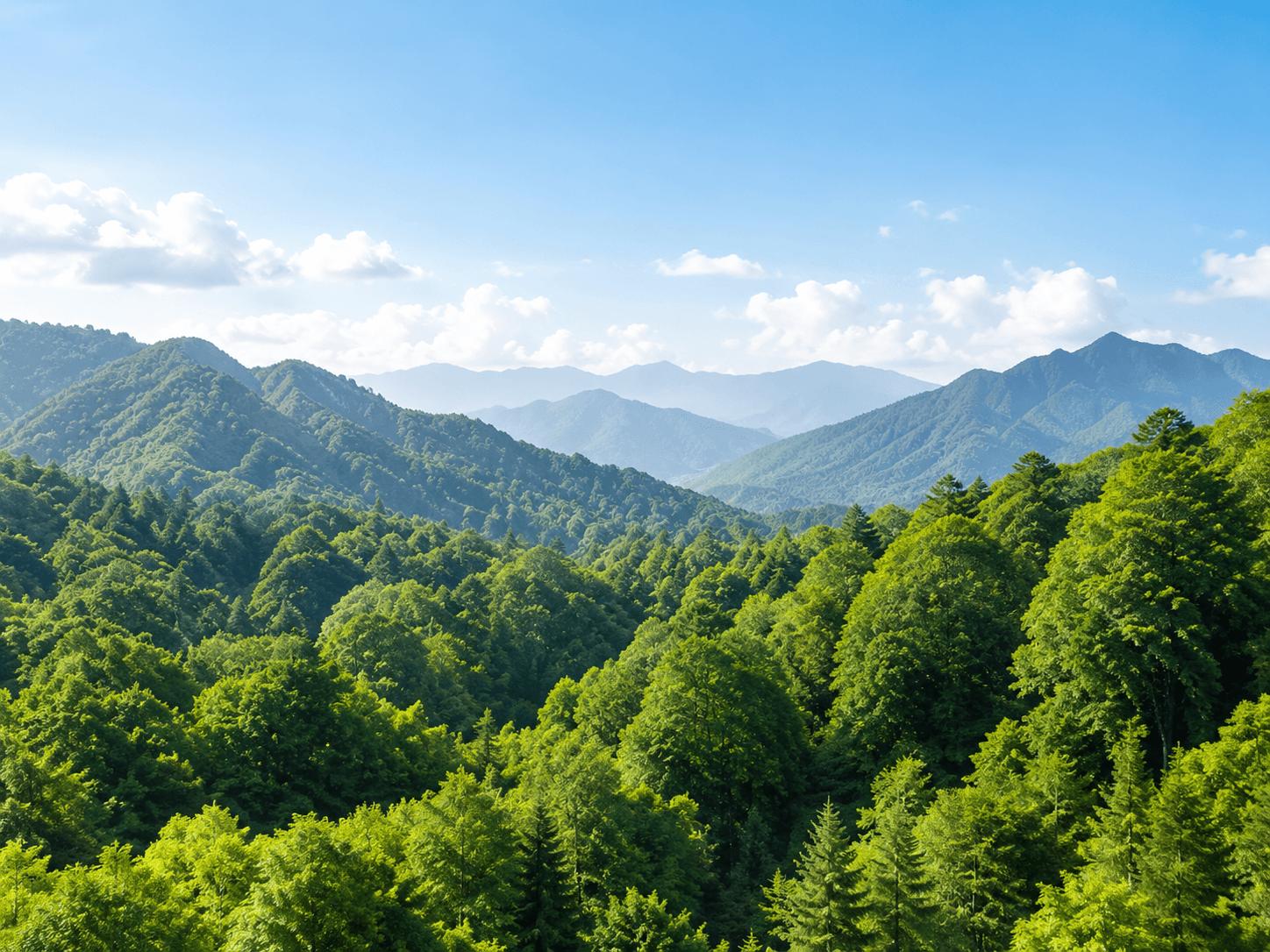 環保節碳 — 減少碳排放,為地球環境盡一份心力